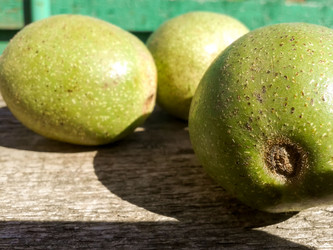 Similar image 5441889