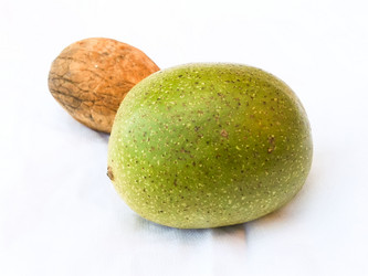 Similar image 5441890