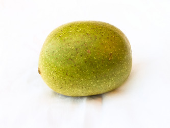 Similar image 5441891