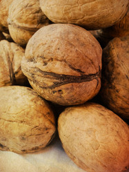 Similar image 5441895