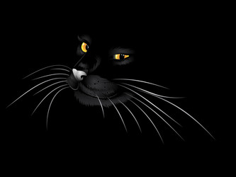 Similar image 5441913