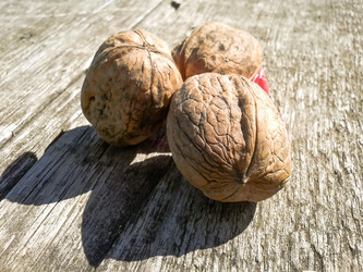 Similar image 5441919