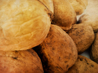 Similar image 5441928