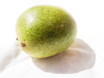 Similar image 5441933