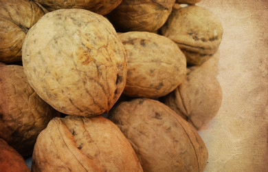 Similar image 5441936