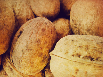 Similar image 5441944