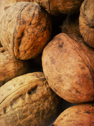 Similar image 5441951