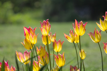 Similar image 5441979