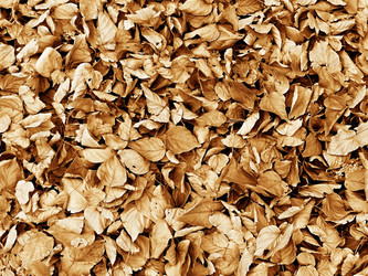 Similar image 5442001