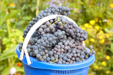 Similar image 5442051