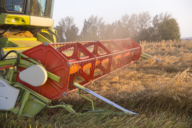 Similar image 5442053