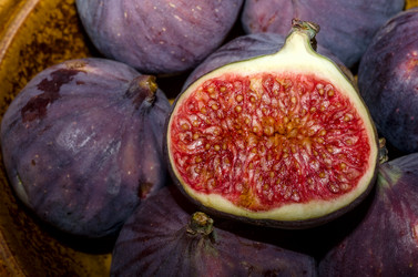 Similar image 5442061