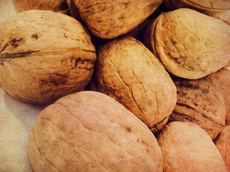 Similar image 5442091