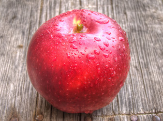 Similar image 5442095