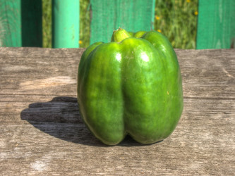 Similar image 5442113