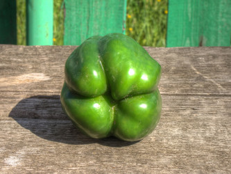 Similar image 5442117