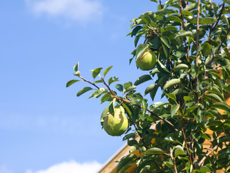 Similar image 5442122