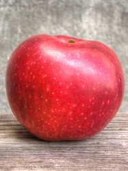 Similar image 5442123