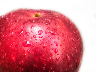 Similar image 5442126