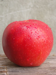 Similar image 5442158