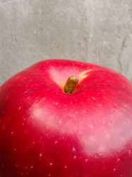 Similar image 5442162