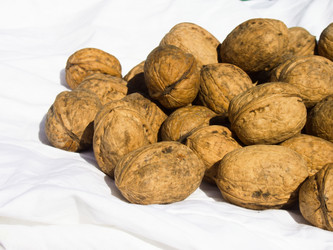 Similar image 5442186