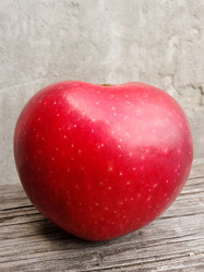 Similar image 5442191