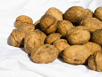 Similar image 5442194