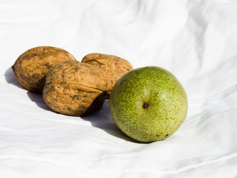 Similar image 5442195