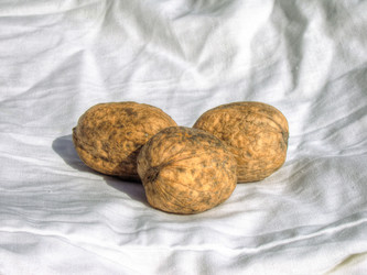 Similar image 5442197