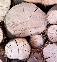 Similar image 5442324