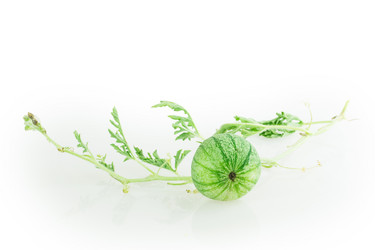 Similar image 5442327