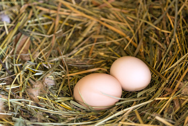 Similar image 5442332