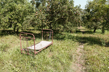 Similar image 5442335