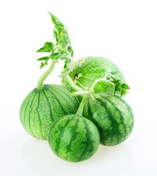 Similar image 5442337