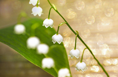 Similar image 5442343