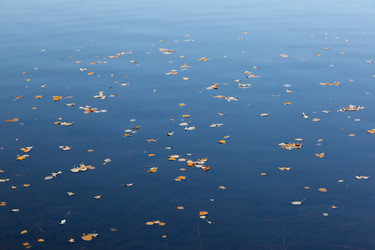 Similar image 5442344