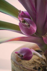 Similar image 5442348