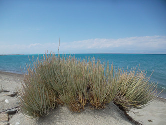 Similar image 5442375