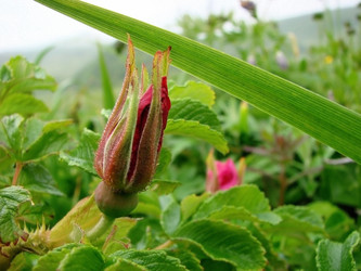 Similar image 5442393