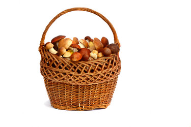 Similar image 5442443