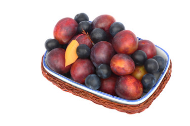 Similar image 5442446