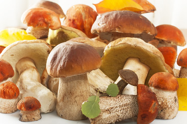 Similar image 5442638