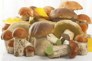 Similar image 5442652