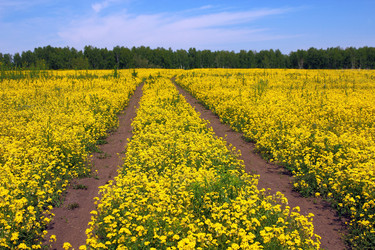 Similar image 5442686