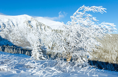 Similar image 5442728