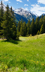 Similar image 5442756