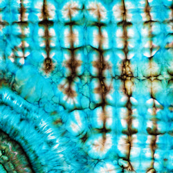 Similar image 5442798