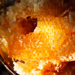 Similar image 5442869