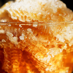 Similar image 5442874